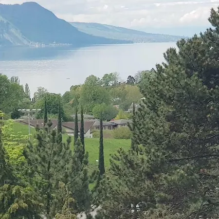 La Terrasse Lake View Residence Apartment Montreux